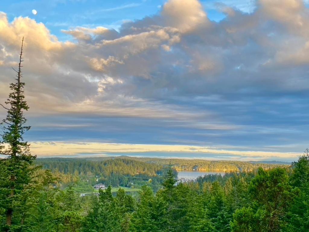 Madrona Suite Eastsound Exteriör bild
